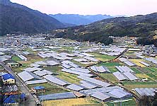 農業