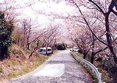九丁公園の写真