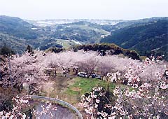 九丁公園